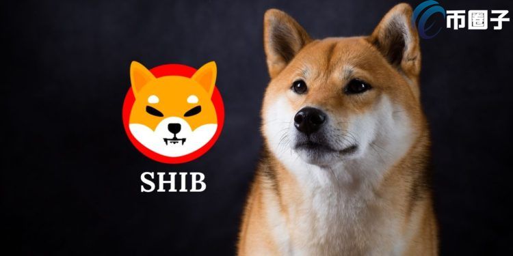 Gemini宣布上架柴犬币 涨10%！Robinhood上SHIB连署破50万人